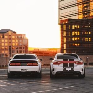 Meet your Posher, Martin